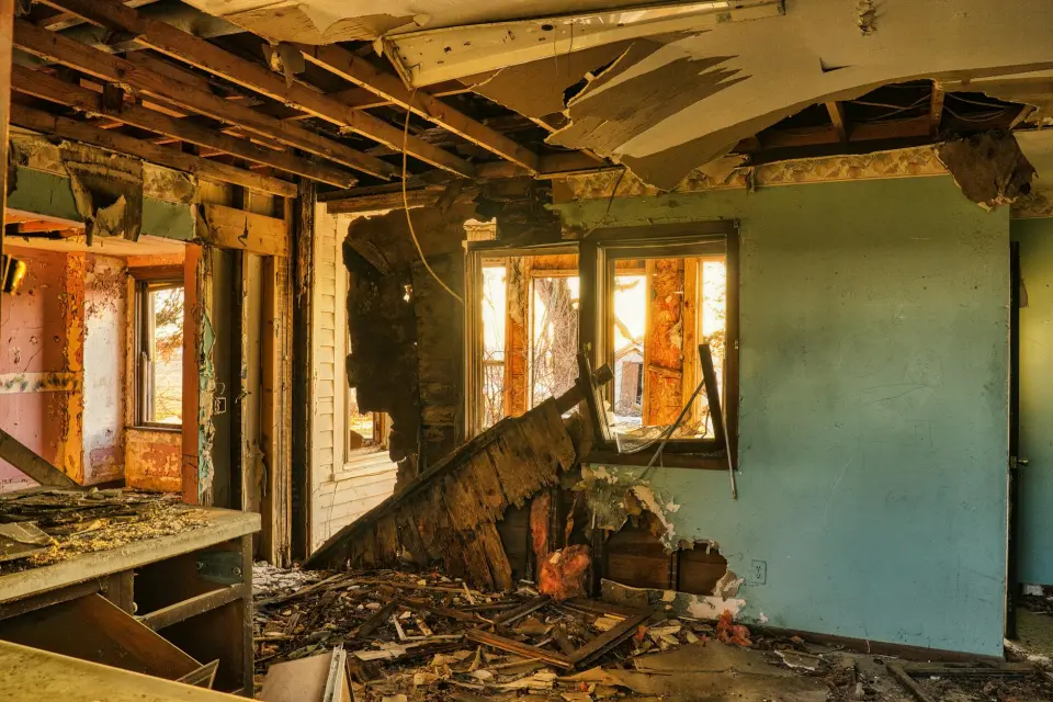 Leading Mold Removal Company In Johns Creek — Johns Creek, GA
